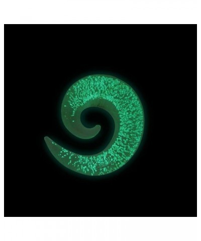 4mm-15mm Glass Ear Tapers Spiral Taper Plugs Earrings Glow in The Dark Spiral Ear Gauges Plug Hanging Taper Stretchers Expand...