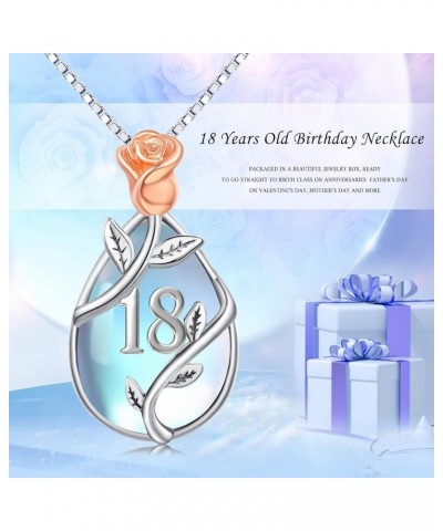 18 Year Old Girl Birthday Gifts/ 10th/11th/12th/13th/15th/16th/21th/ 30th/40th/50th/60th/70th/80th Birthday Gifts for Women D...