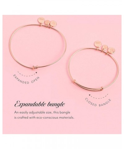 Because I Love You Expandable Wire Bangle Bracelet for Women, Meaningful Charms, 2 to 3.5 in Shiny Antique Gold Finish Sister...