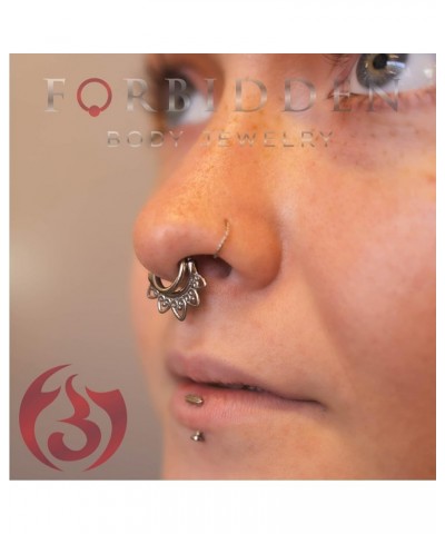 Pair of 316L Surgical Steel Seamless Segment Hoop Piercing Rings 16g 11mm Black $9.68 Body Jewelry