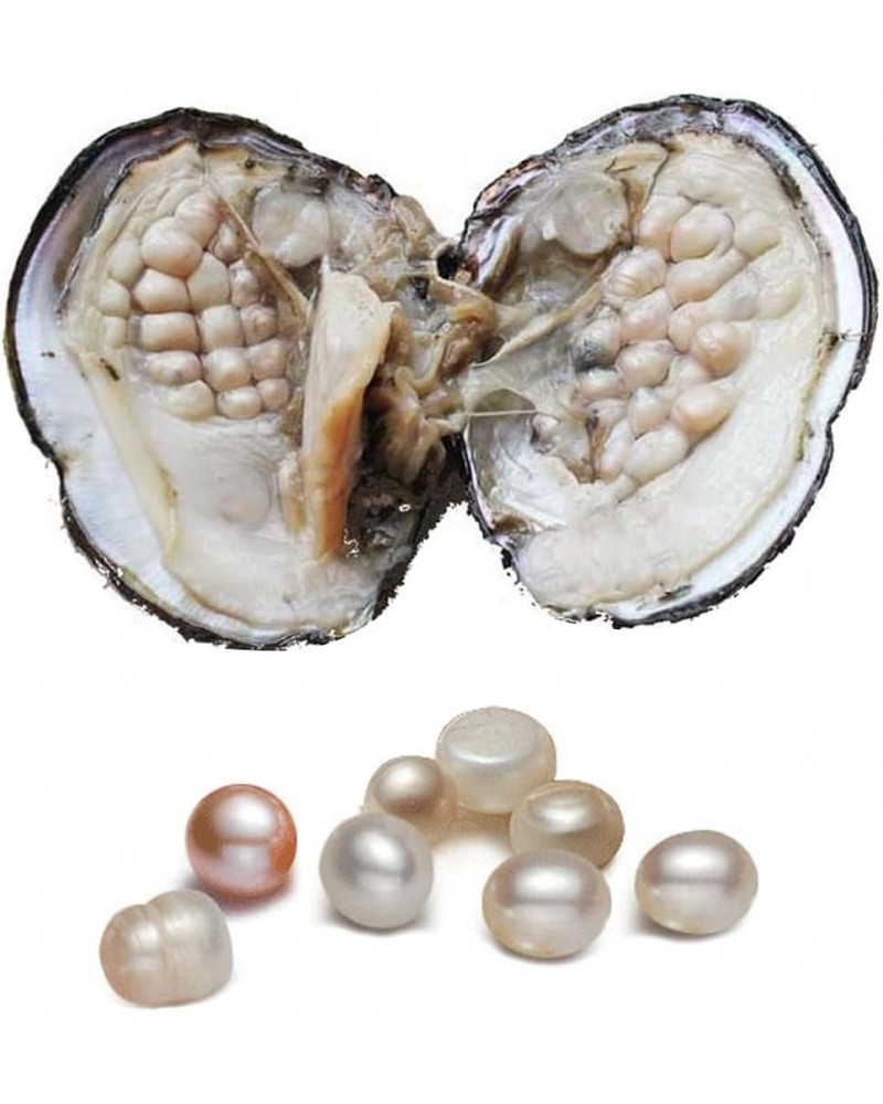 Oyster with Pearl Inside, Freshwater Cultured Oval Pearl Beads (5-7mm about 18pcs Pearls) Gifts $11.04 Necklaces