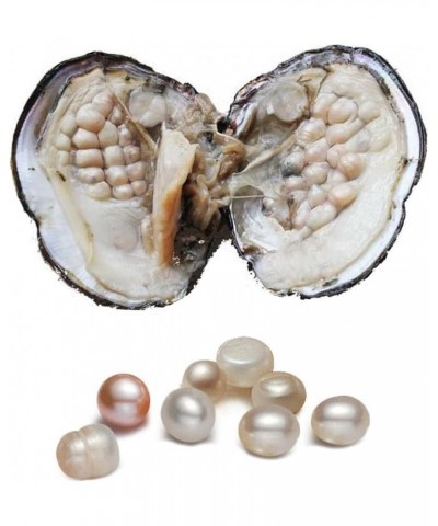 Oyster with Pearl Inside, Freshwater Cultured Oval Pearl Beads (5-7mm about 18pcs Pearls) Gifts $11.04 Necklaces