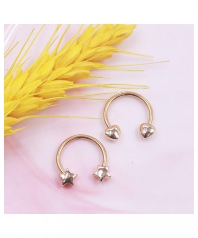 16G Septum Rings Heart Cartilage Earring Hoop Septum Earring 316L Stainless Steel Helix Earring Daith Earring Nose Ring Hoop ...