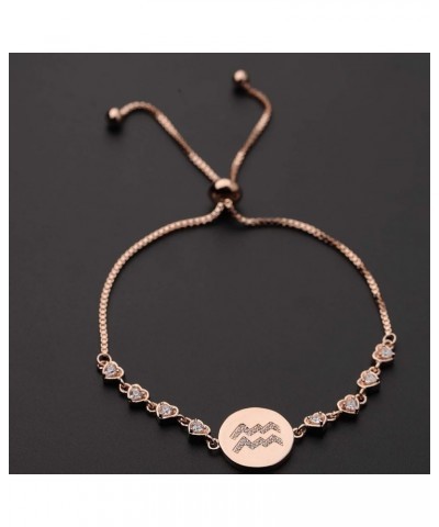 Rose Gold Zodiac Sign Adjustable Bracelet Birthday Gift for Women Girls BR-Aquarius $10.39 Bracelets