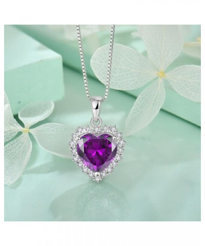 Heart Birthstone Pendant Necklace 925 Sterling Silver Jewelry Gift for Women 02-Amethyst $31.10 Necklaces