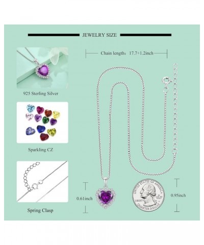 Heart Birthstone Pendant Necklace 925 Sterling Silver Jewelry Gift for Women 02-Amethyst $31.10 Necklaces