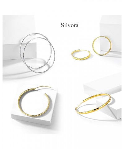 Sterling Silver Hoop Earrings, Hypoallergenic Polished Endless Circle Hoops 18K Gold Jewelry Gifts for Women Girls 20mm/30mm/...