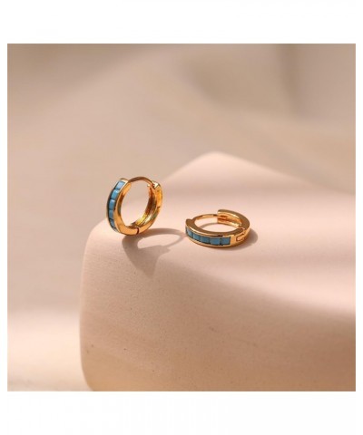 Small Hoop Earrings Cubic Zirconia Diamond Sleeper Cartilage Mini Huggie Hoop Earrings 18K Plated Gold Hypoallergenic Lightwe...