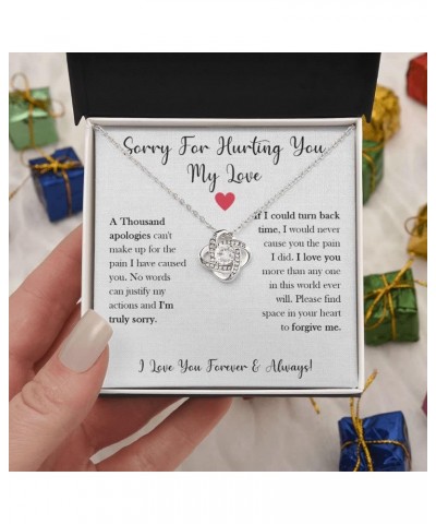 I'm Sorry Gifts For Her, Sorry Gift, Apology Card, Apology Necklace, Forgive Me Jewelry, Sorry Partner Stainless Sterling Sil...