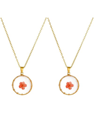 Women Gold Color Dried Flower Necklace Pressed Natural Flower Pendant Necklace for festival gifts (2pcs) Red $7.79 Necklaces