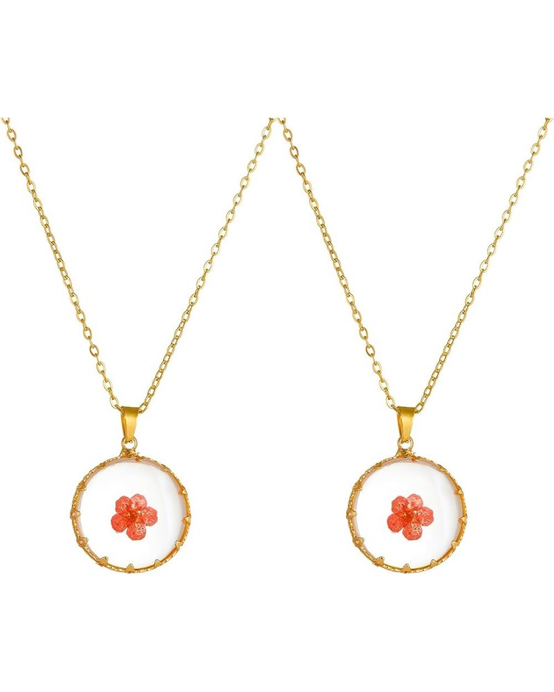 Women Gold Color Dried Flower Necklace Pressed Natural Flower Pendant Necklace for festival gifts (2pcs) Red $7.79 Necklaces