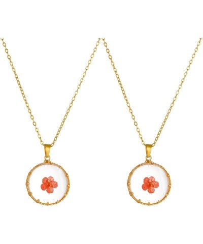 Women Gold Color Dried Flower Necklace Pressed Natural Flower Pendant Necklace for festival gifts (2pcs) Red $7.79 Necklaces